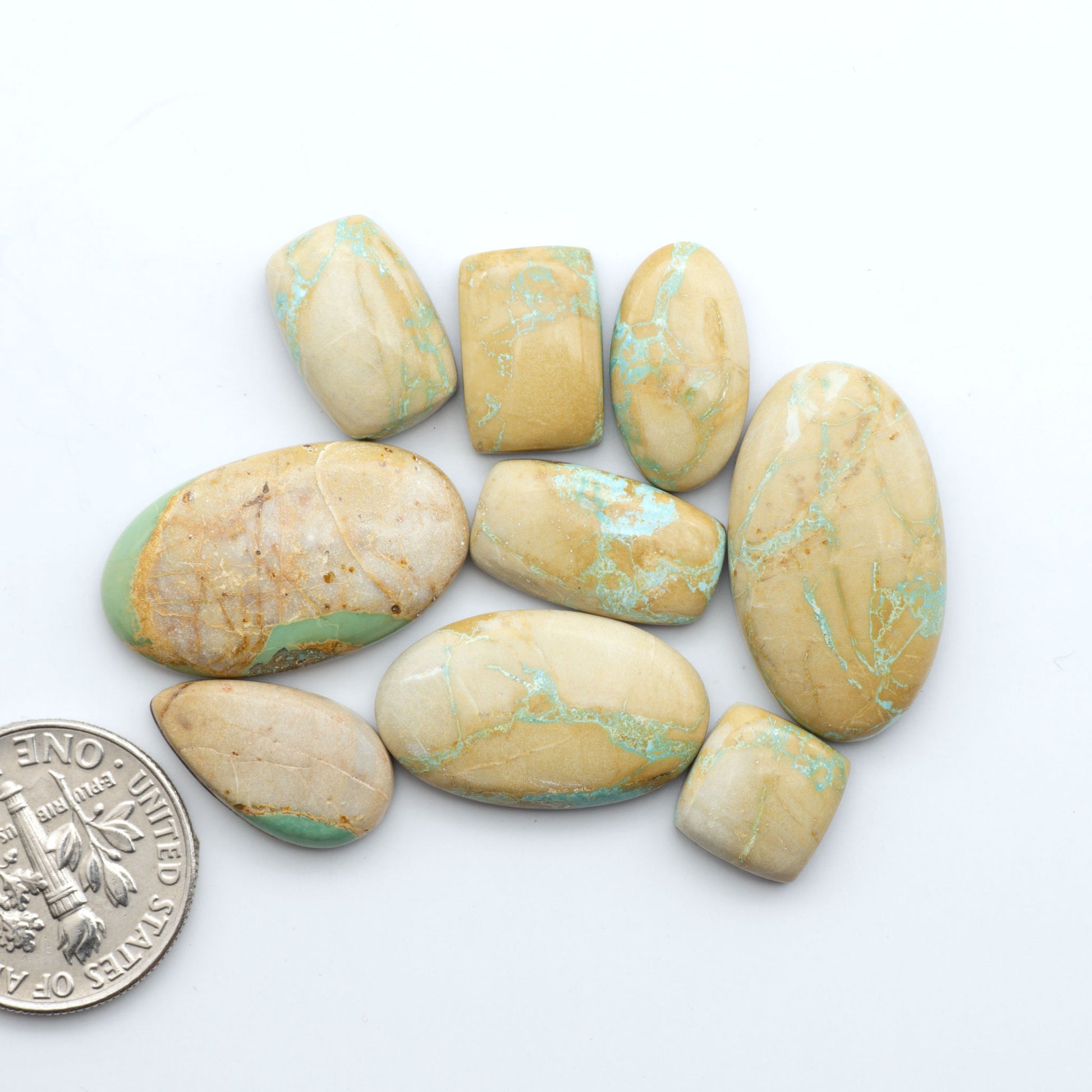 Royston Turquoise cabochons, blue-green color with natural matrix, polished stones on a white background, with a US dime for scale