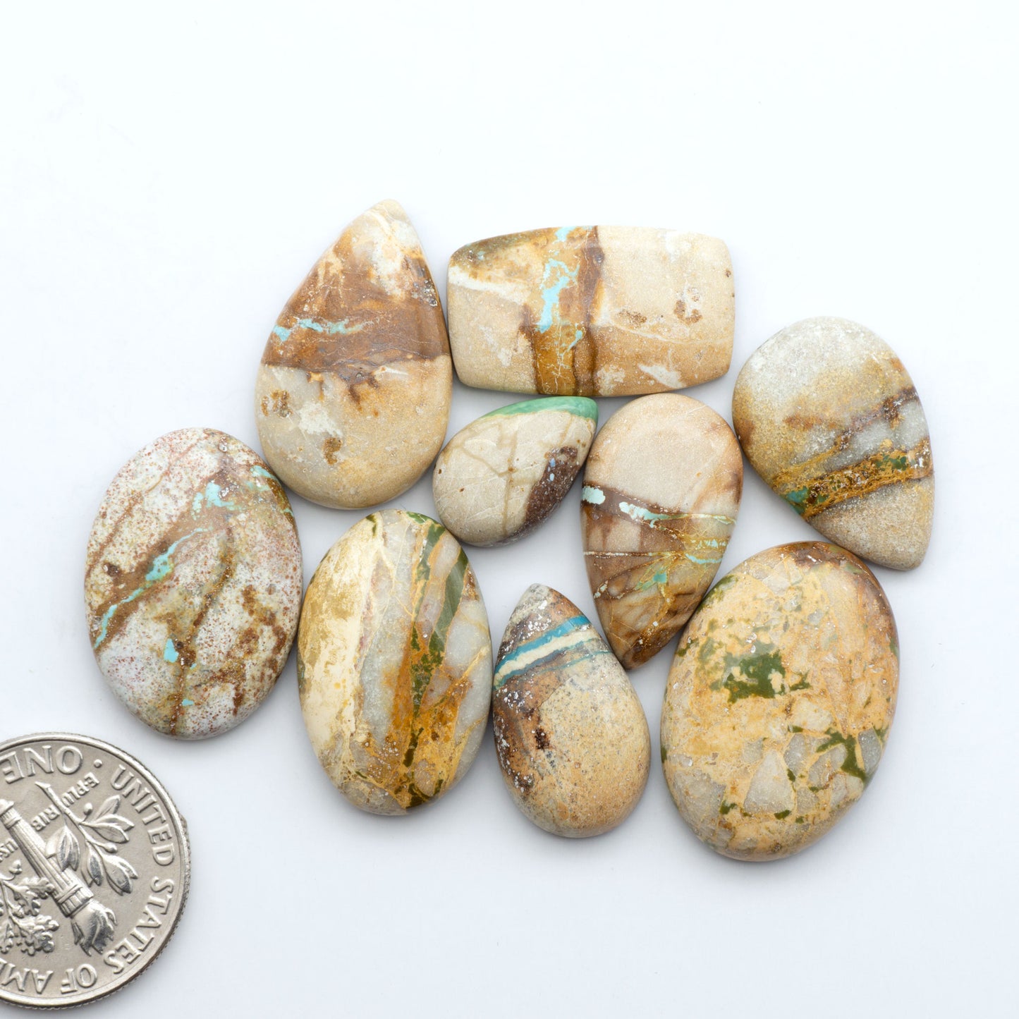 Royston Turquoise cabochons, blue-green color with natural matrix, polished stones on a white background, with a US dime for scale