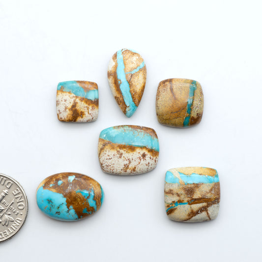 Royston Turquoise cabochons, blue-green color with natural matrix, polished stones on a white background, with a US dime for scale