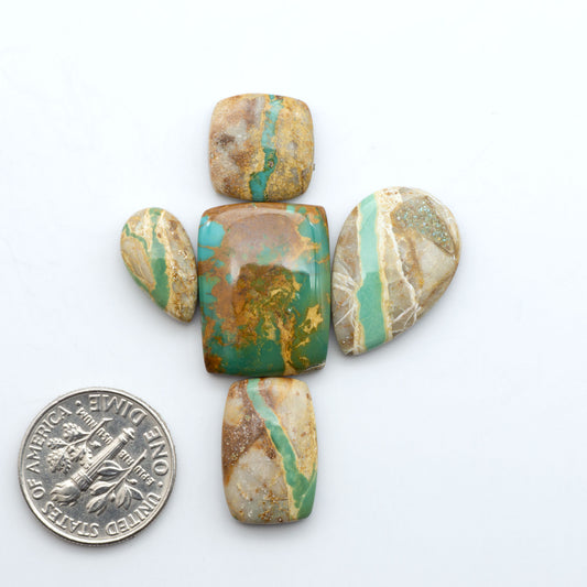 Royston Turquoise cabochons, blue-green color with natural matrix, polished stones on a white background, with a US dime for scale