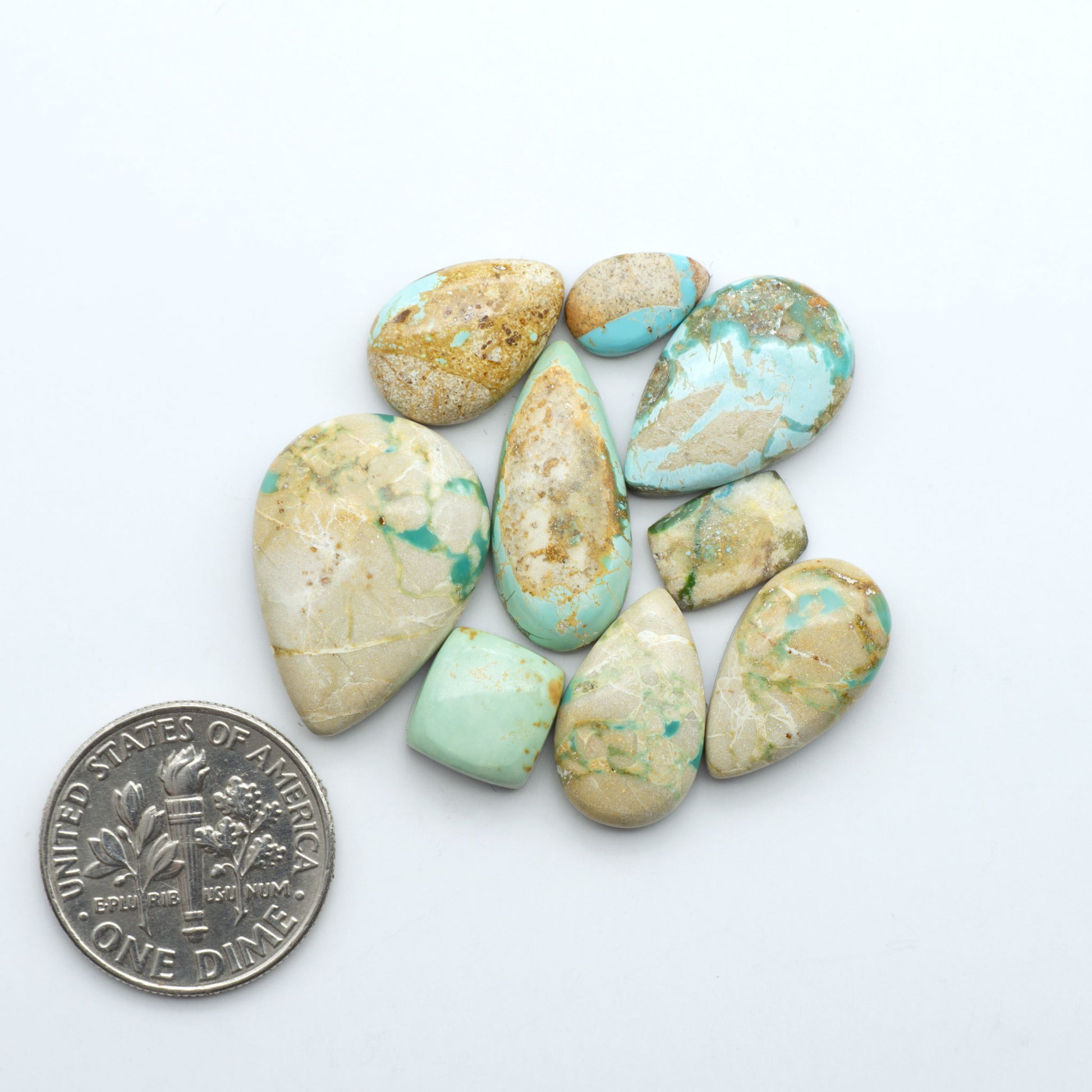 Royston Turquoise cabochons, blue-green color with natural matrix, polished stones on a white background, with a US dime for scale