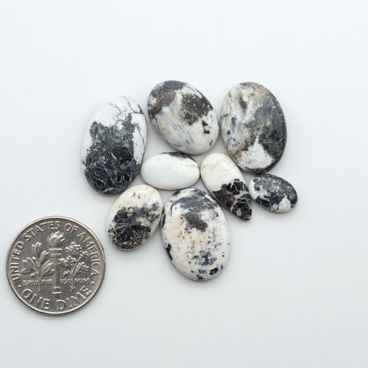 White Buffalo stone cabochons, white stone with black matrix, polished stones on a white background, with a US dime for scale