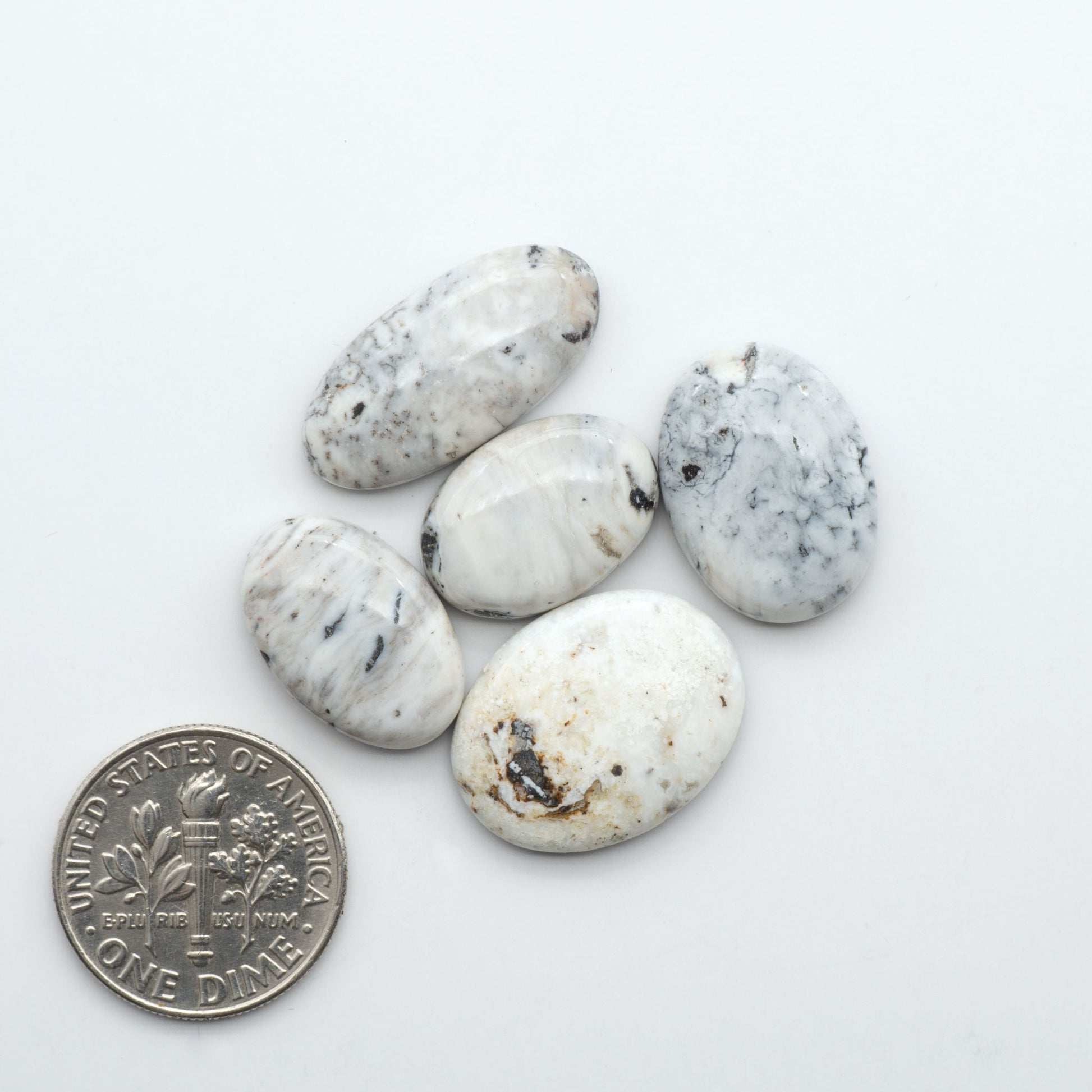 White Buffalo stone cabochons, white stone with black matrix, polished stones on a white background, with a US dime for scale