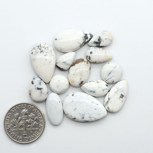 White Buffalo stone cabochons, white stone with black matrix, polished stones on a white background, with a US dime for scale