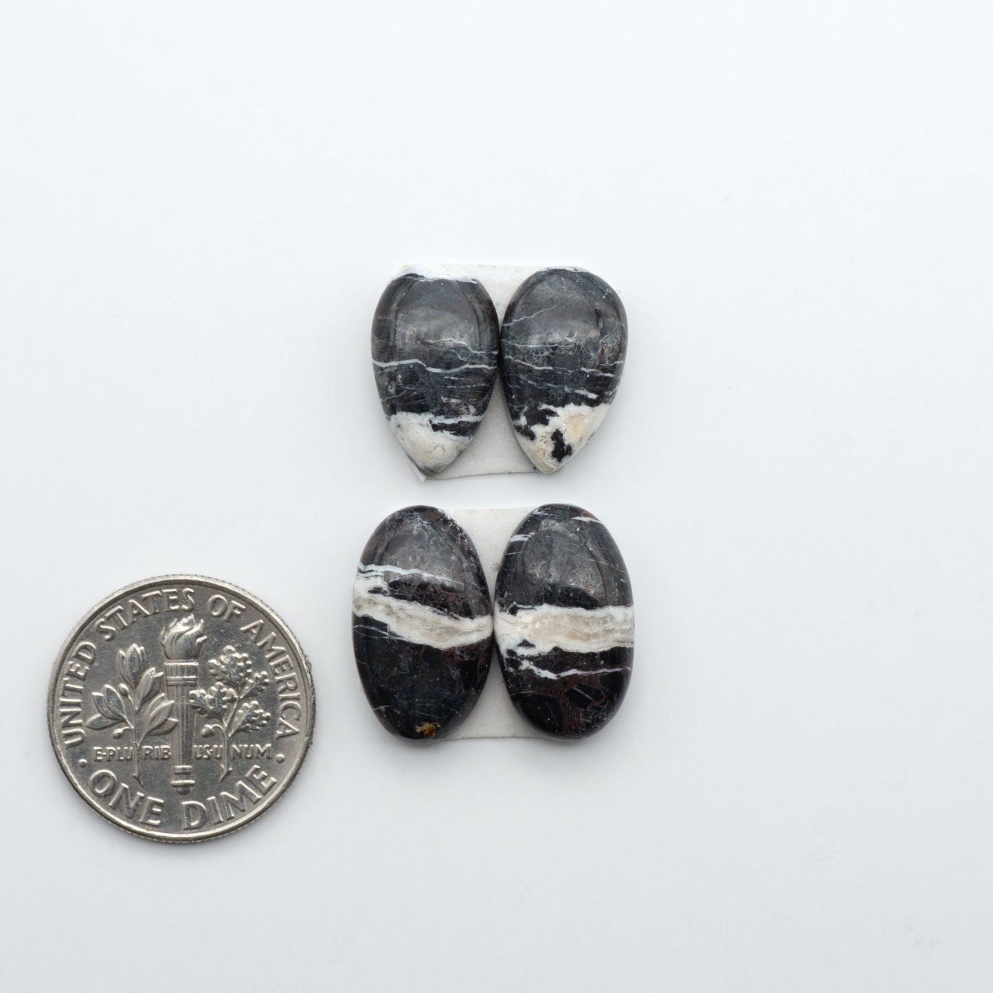 White Buffalo stone cabochons, white stone with black matrix, polished stones on a white background, with a US dime for scale