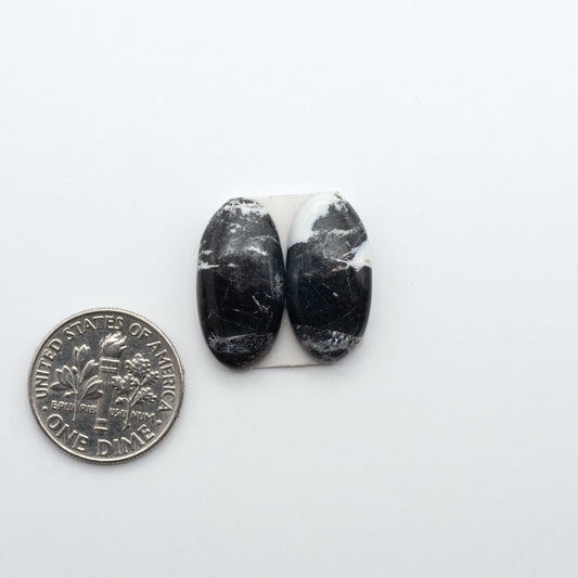 White Buffalo stone cabochons, white stone with black matrix, polished stones on a white background, with a US dime for scale