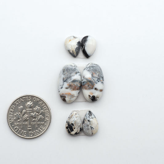 White Buffalo stone cabochons, white stone with black matrix, polished stones on a white background, with a US dime for scale