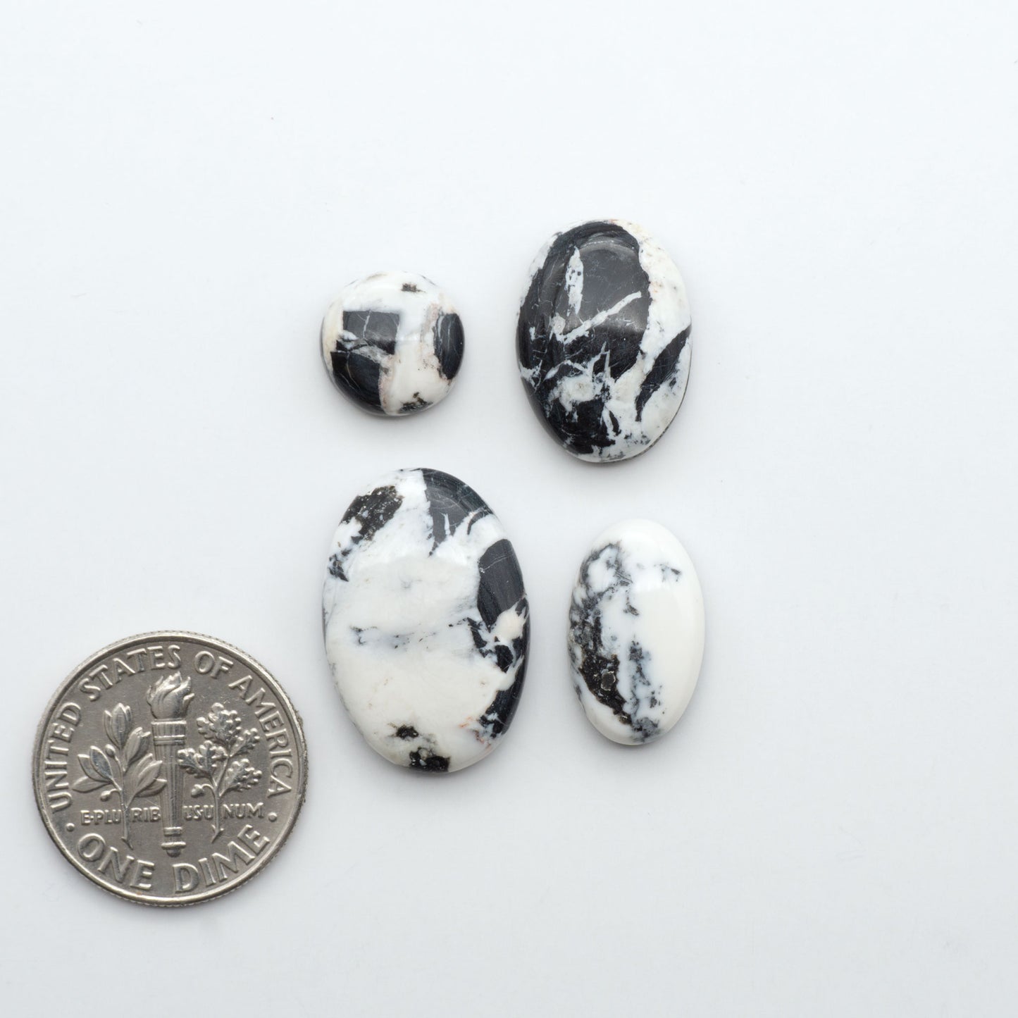 White Buffalo stone cabochons, white stone with black matrix, polished stones on a white background, with a US dime for scale