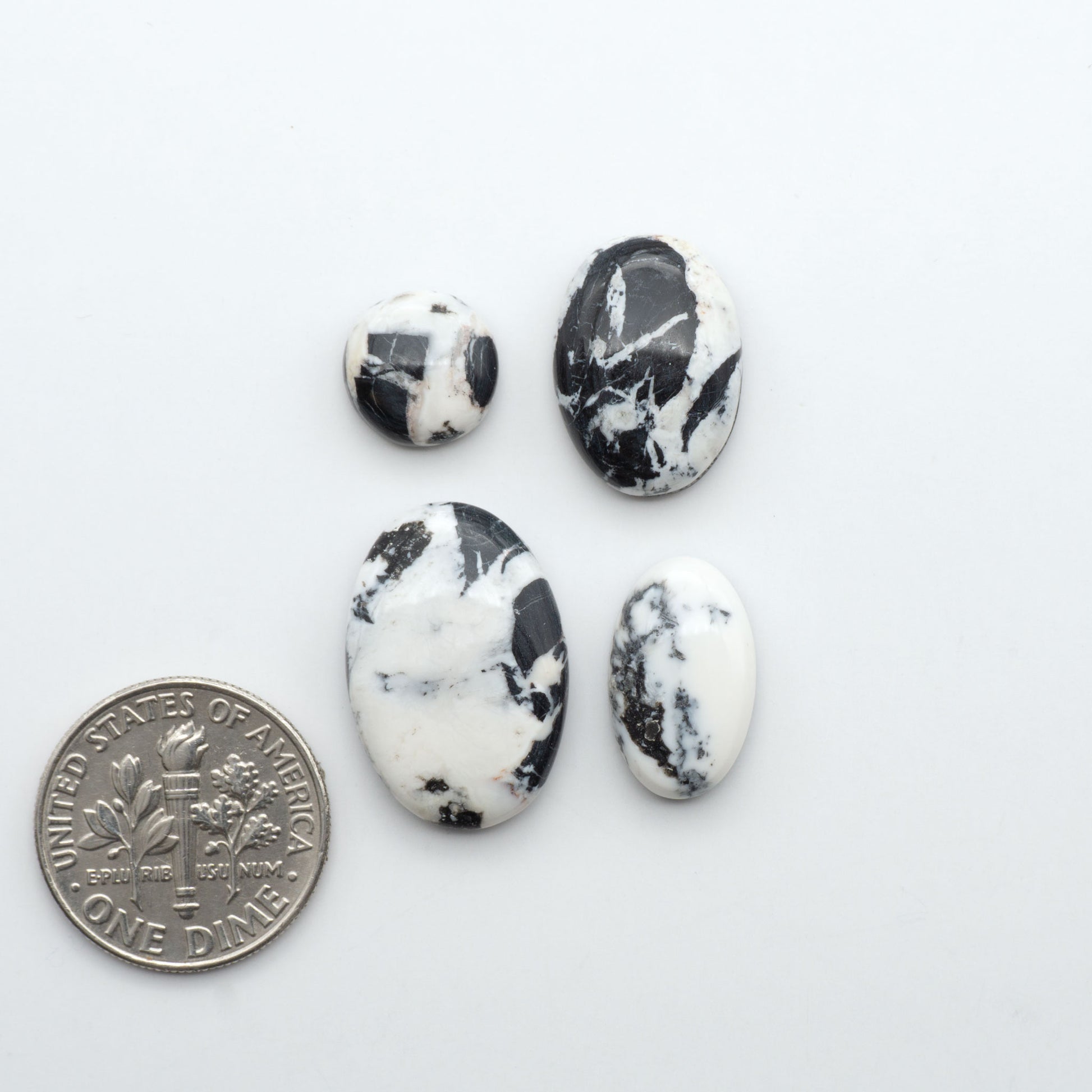 White Buffalo stone cabochons, white stone with black matrix, polished stones on a white background, with a US dime for scale
