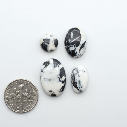 White Buffalo stone cabochons, white stone with black matrix, polished stones on a white background, with a US dime for scale