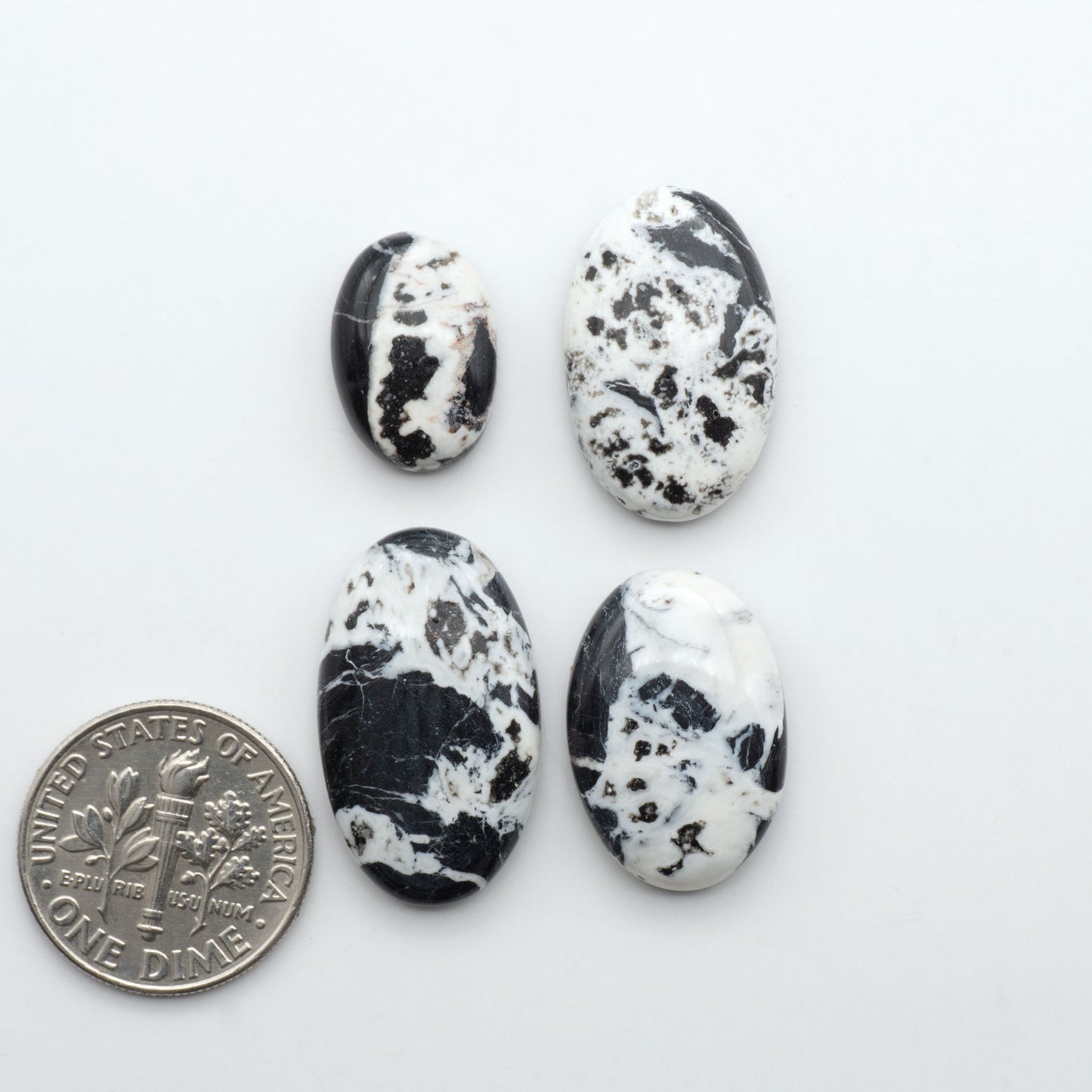White Buffalo stone cabochons, white stone with black matrix, polished stones on a white background, with a US dime for scale