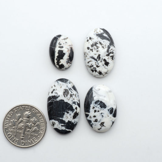 White Buffalo stone cabochons, white stone with black matrix, polished stones on a white background, with a US dime for scale