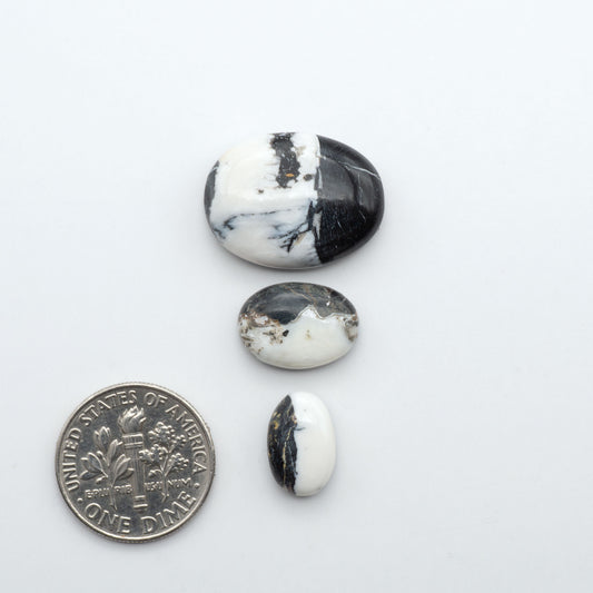 White Buffalo stone cabochons, white stone with black matrix, polished stones on a white background, with a US dime for scale