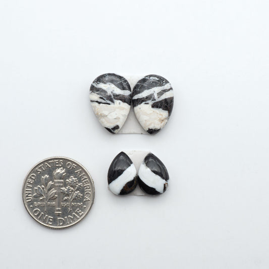 White Buffalo stone cabochons, white stone with black matrix, polished stones on a white background, with a US dime for scale