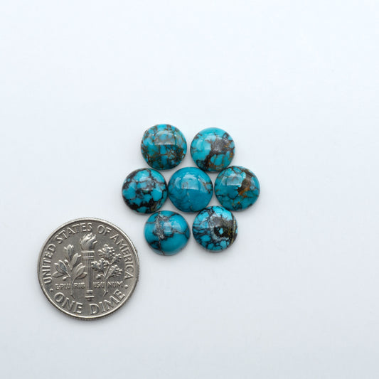 Hubei Cloud Mountain Turquoise cabochons, blue and green color with black matrix, polished stones on a white background with a US dime for scale