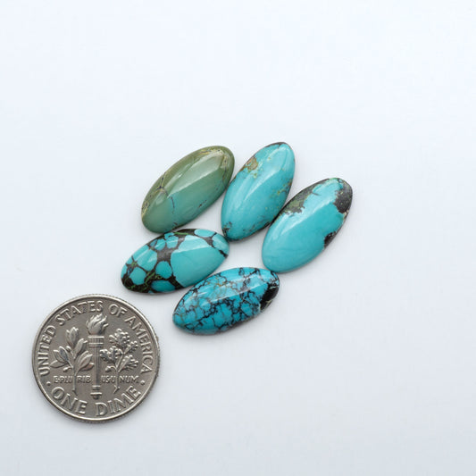 Hubei Cloud Mountain Turquoise cabochons, blue and green color with black matrix, polished stones on a white background with a US dime for scale