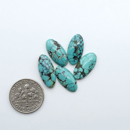 Hubei Cloud Mountain Turquoise cabochons, blue and green color with black matrix, polished stones on a white background with a US dime for scale