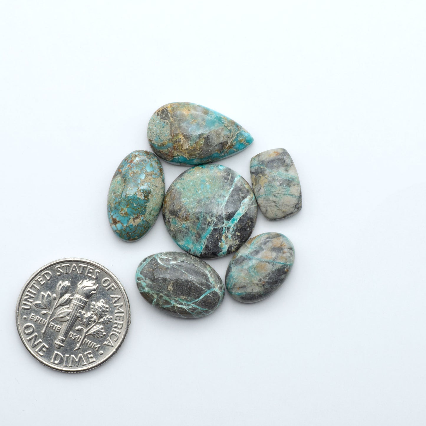 Fox Turquoise cabochons, polished gemstones with natural matrix on a white background, with a US dime for scale