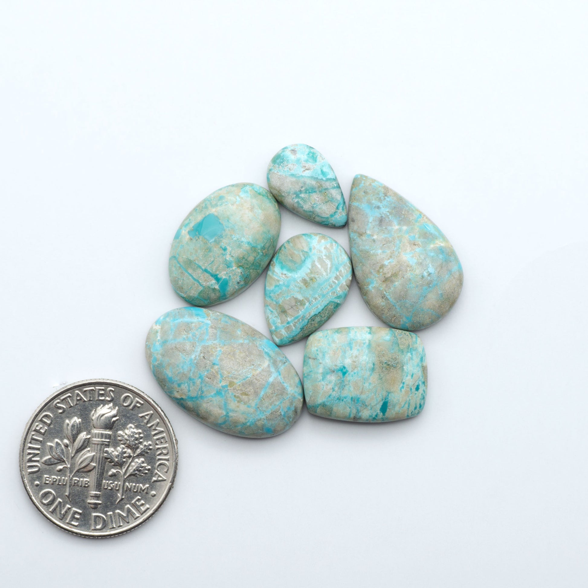 Fox Turquoise cabochons, polished gemstones with natural matrix on a white background, with a US dime for scale