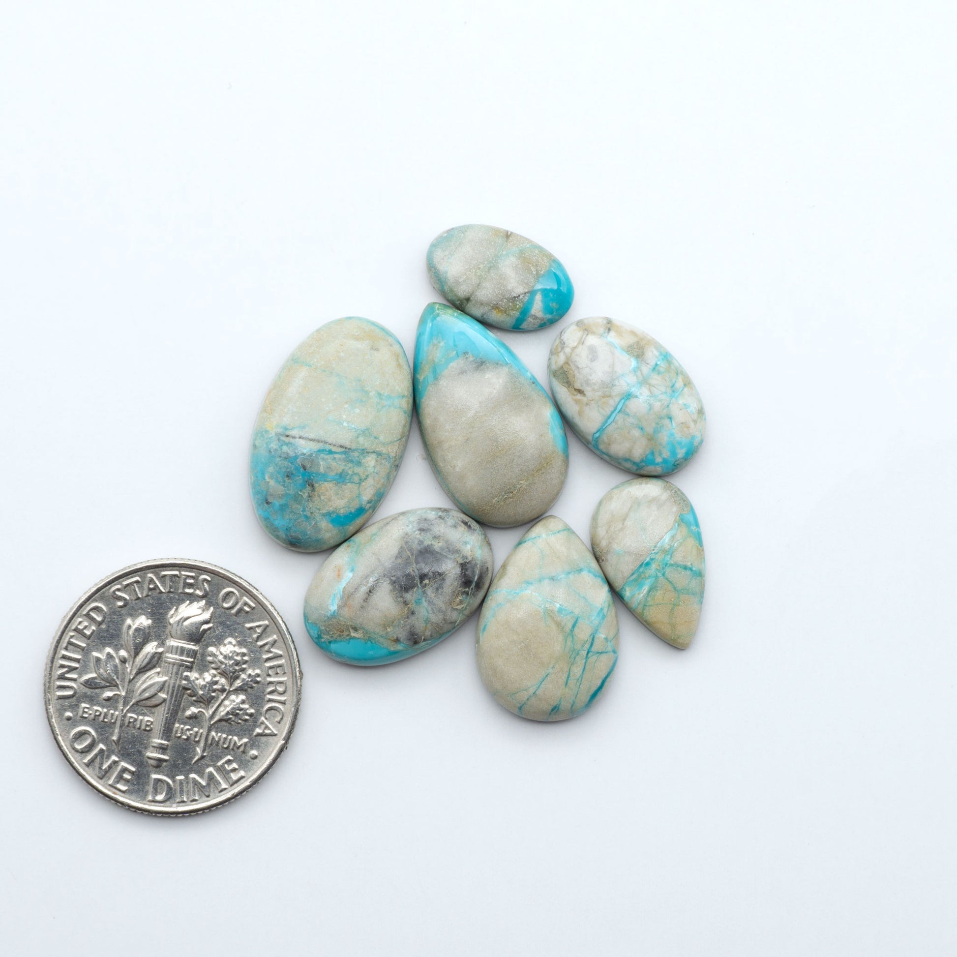 Fox Turquoise cabochons, polished gemstones with natural matrix on a white background, with a US dime for scale