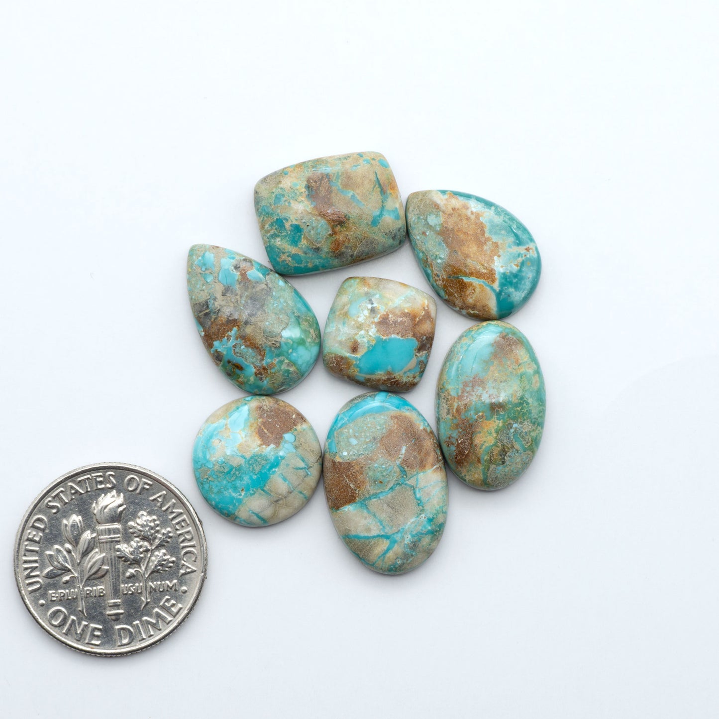 Fox Turquoise cabochons, polished gemstones with natural matrix on a white background, with a US dime for scale
