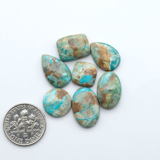 Fox Turquoise cabochons, polished gemstones with natural matrix on a white background, with a US dime for scale