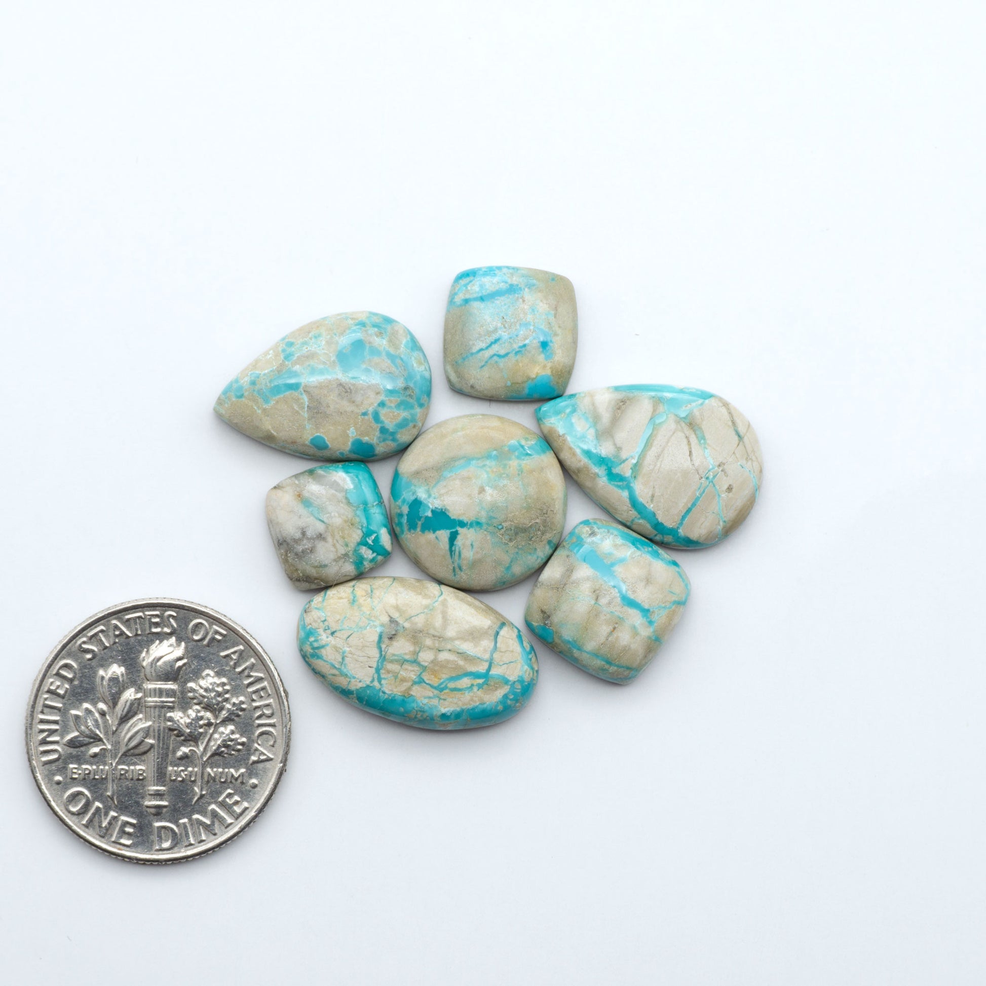 Fox Turquoise cabochons, polished gemstones with natural matrix on a white background, with a US dime for scale
