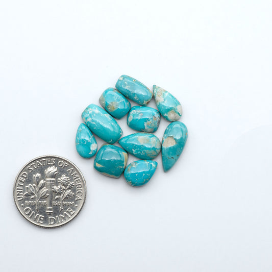 Fox Turquoise cabochons, polished gemstones with natural matrix on a white background, with a US dime for scale