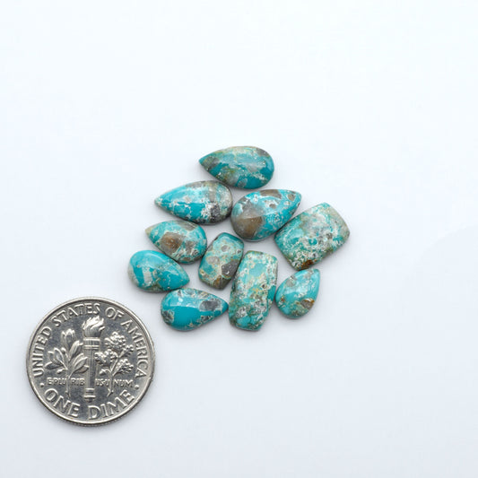 Fox Turquoise cabochons, polished gemstones with natural matrix on a white background, with a US dime for scale