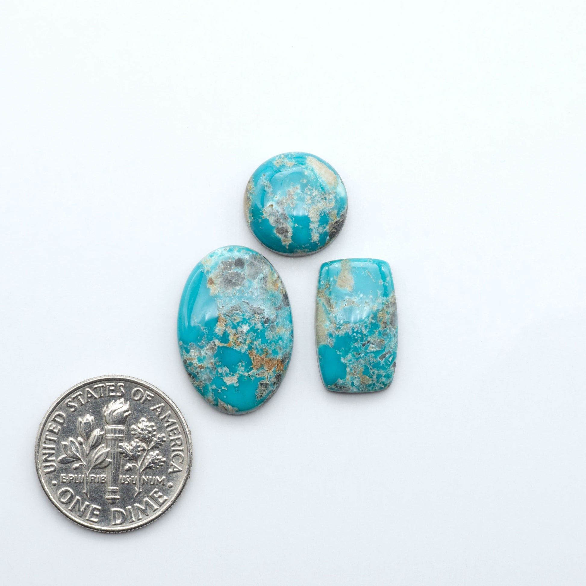Fox Turquoise cabochons, polished gemstones with natural matrix on a white background, with a US dime for scale