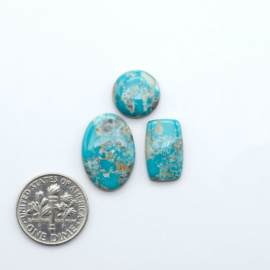 Fox Turquoise cabochons, polished gemstones with natural matrix on a white background, with a US dime for scale