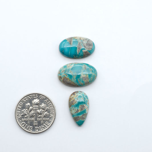 Fox Turquoise cabochons, polished gemstones with natural matrix on a white background, with a US dime for scale