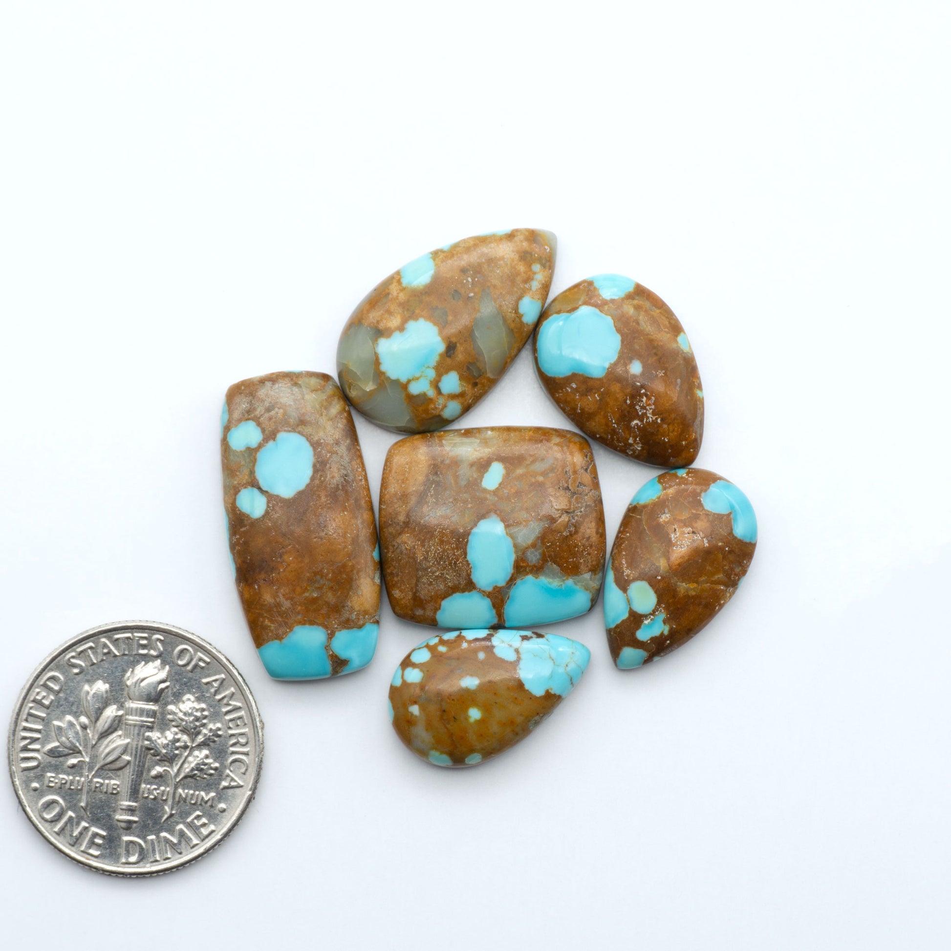 Number 8 Turquoise cabochons, blue and green color with brown matrix, polished stones on a white background, with a US dime for scale