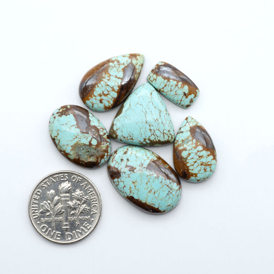 Number 8 Turquoise cabochons, blue and green color with brown matrix, polished stones on a white background, with a US dime for scale