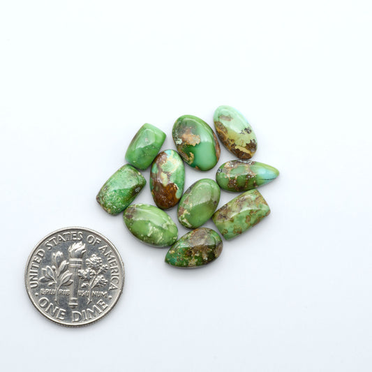 Sonoran Mountain Turquoise cabochons, blue-green color with natural matrix, polished stones on a white background, with a US dime for scale