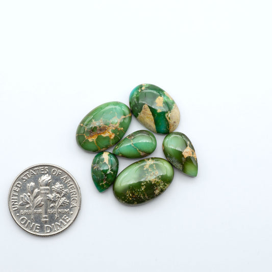 Sonoran Mountain Turquoise cabochons, blue-green color with natural matrix, polished stones on a white background, with a US dime for scale