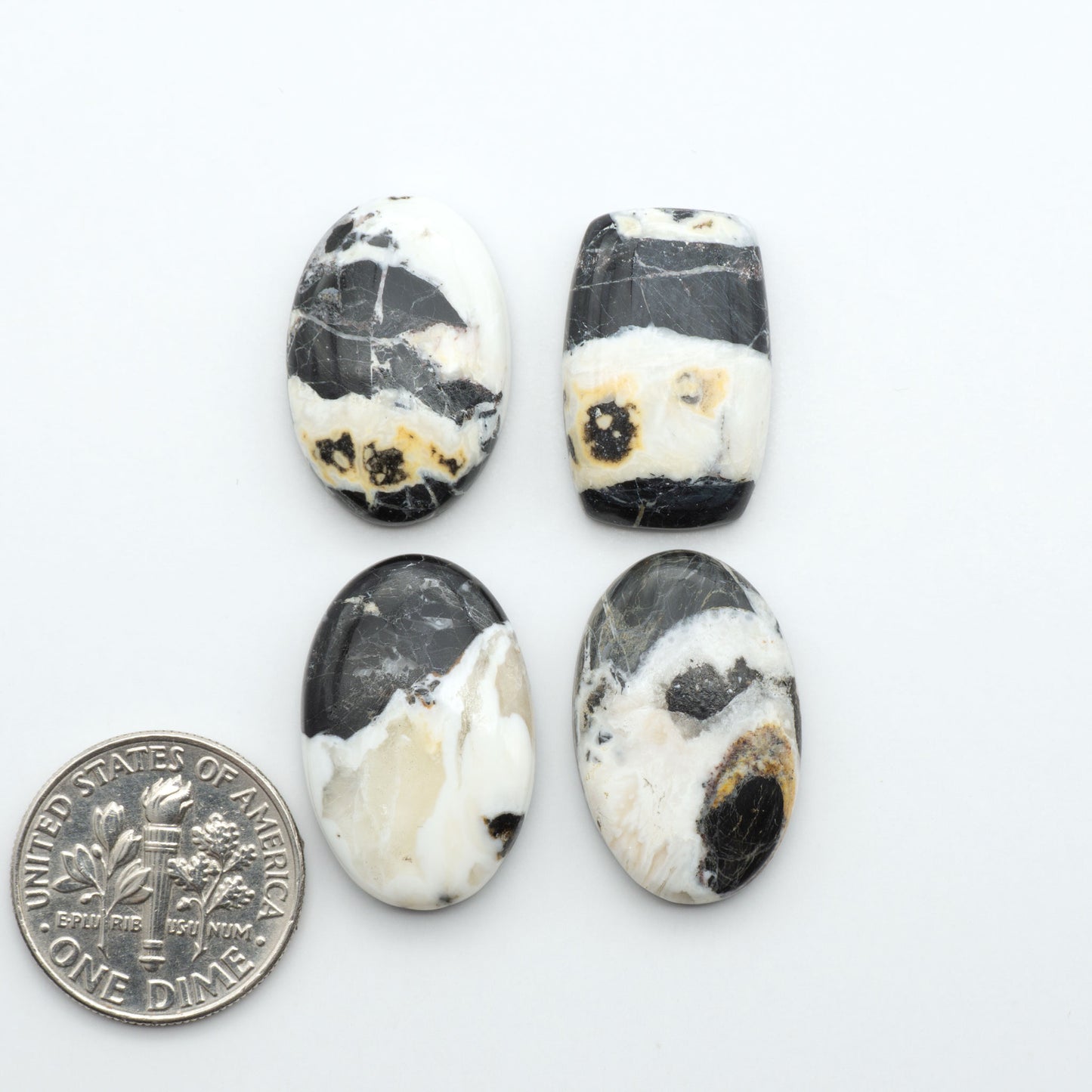 White Buffalo stone cabochons, white stone with black matrix, polished stones on a white background, with a US dime for scale