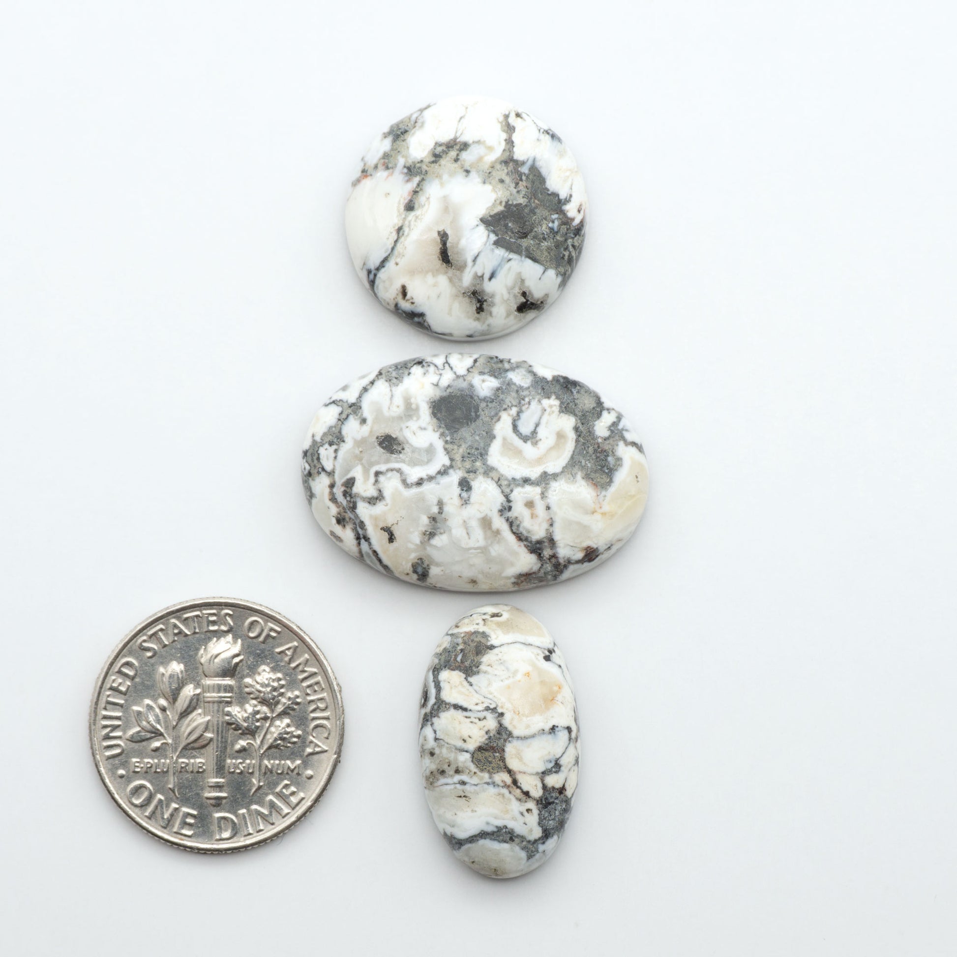 White Buffalo stone cabochons, white stone with black matrix, polished stones on a white background, with a US dime for scale