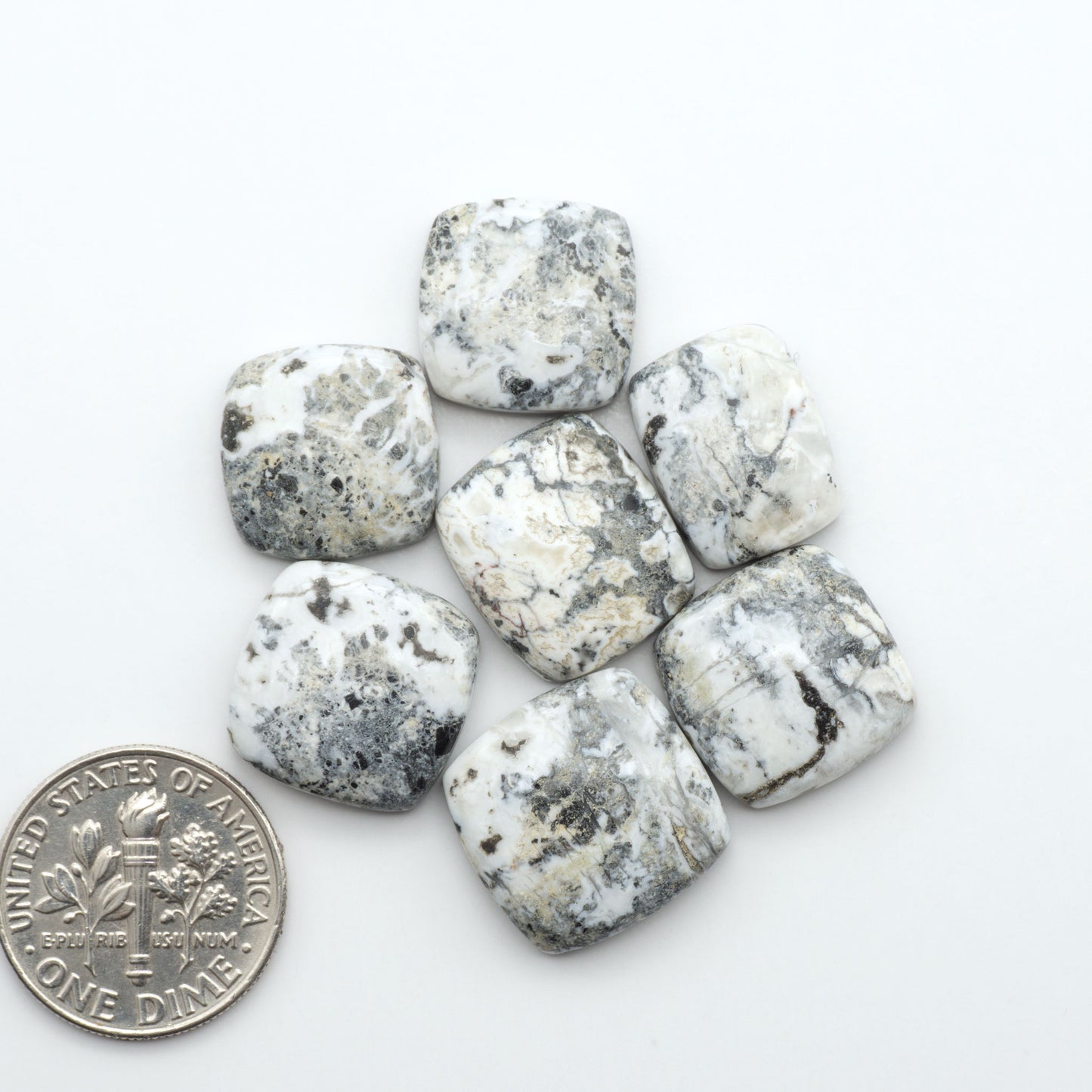 White Buffalo stone cabochons, white stone with black matrix, polished stones on a white background, with a US dime for scale