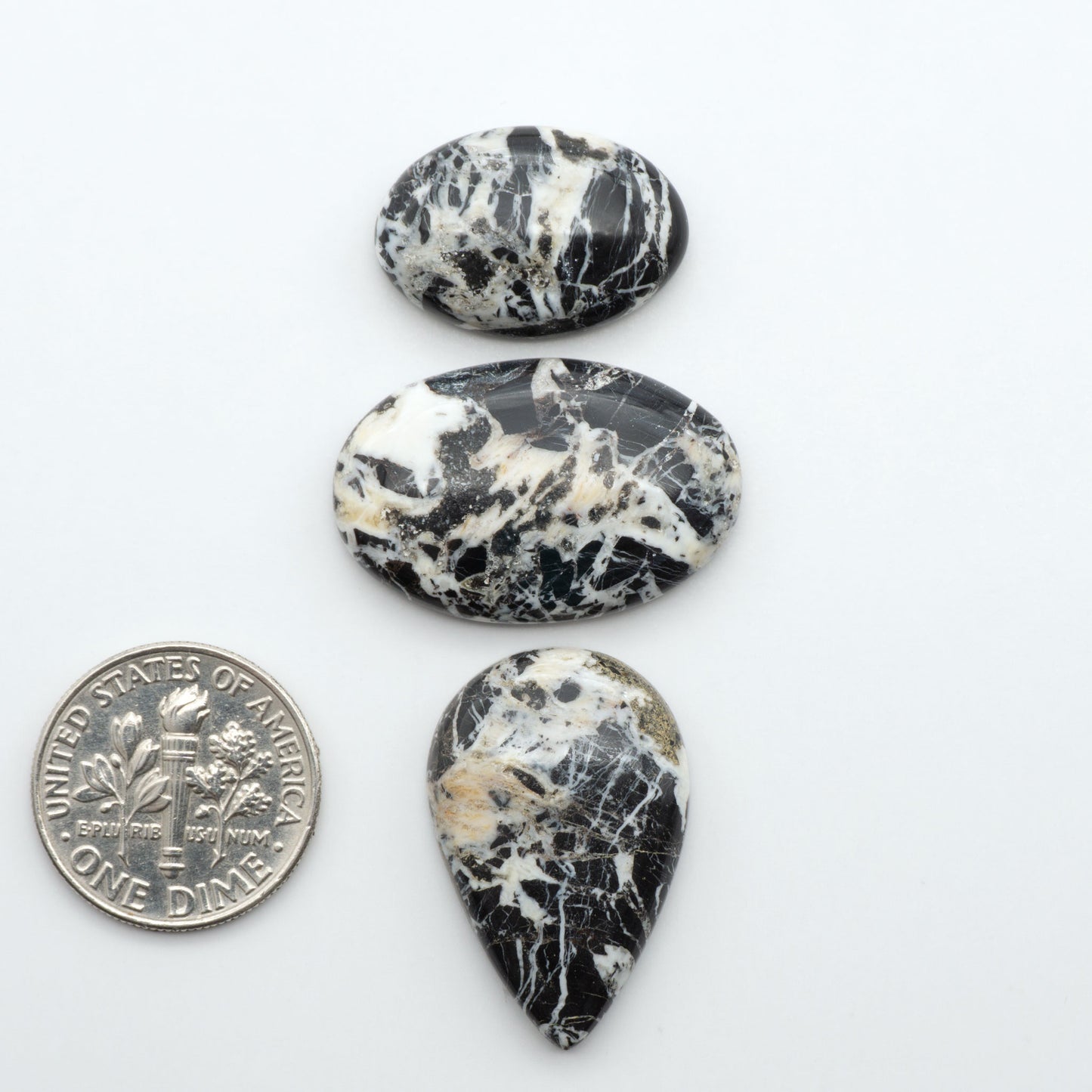 White Buffalo stone cabochons, white stone with black matrix, polished stones on a white background, with a US dime for scale