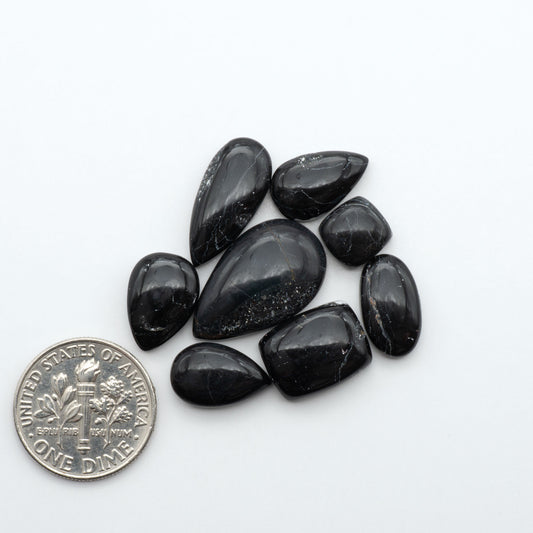 White Buffalo stone cabochons, white stone with black matrix, polished stones on a white background, with a US dime for scale