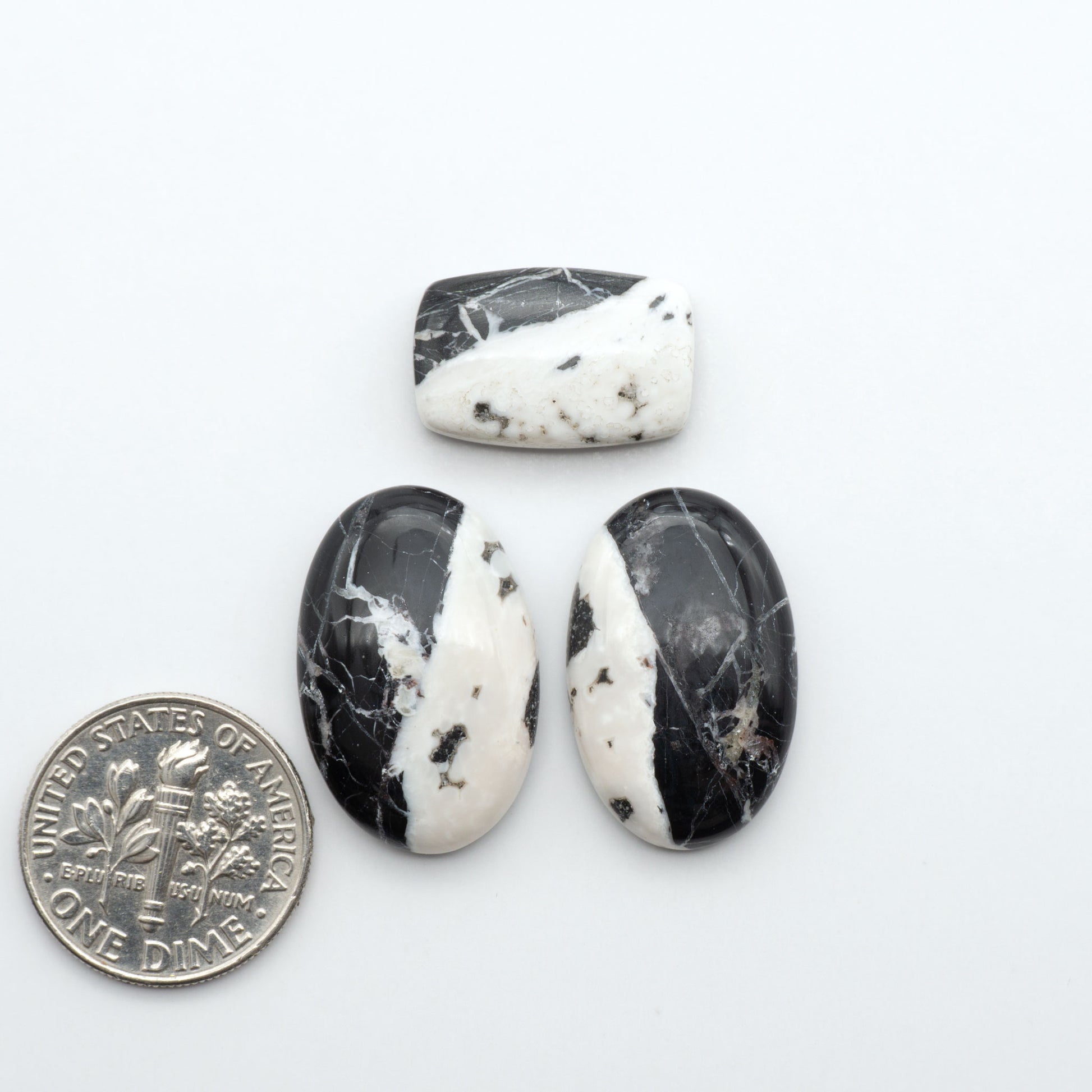 White Buffalo stone cabochons, white stone with black matrix, polished stones on a white background, with a US dime for scale