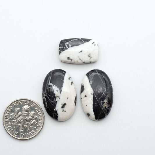 White Buffalo stone cabochons, white stone with black matrix, polished stones on a white background, with a US dime for scale