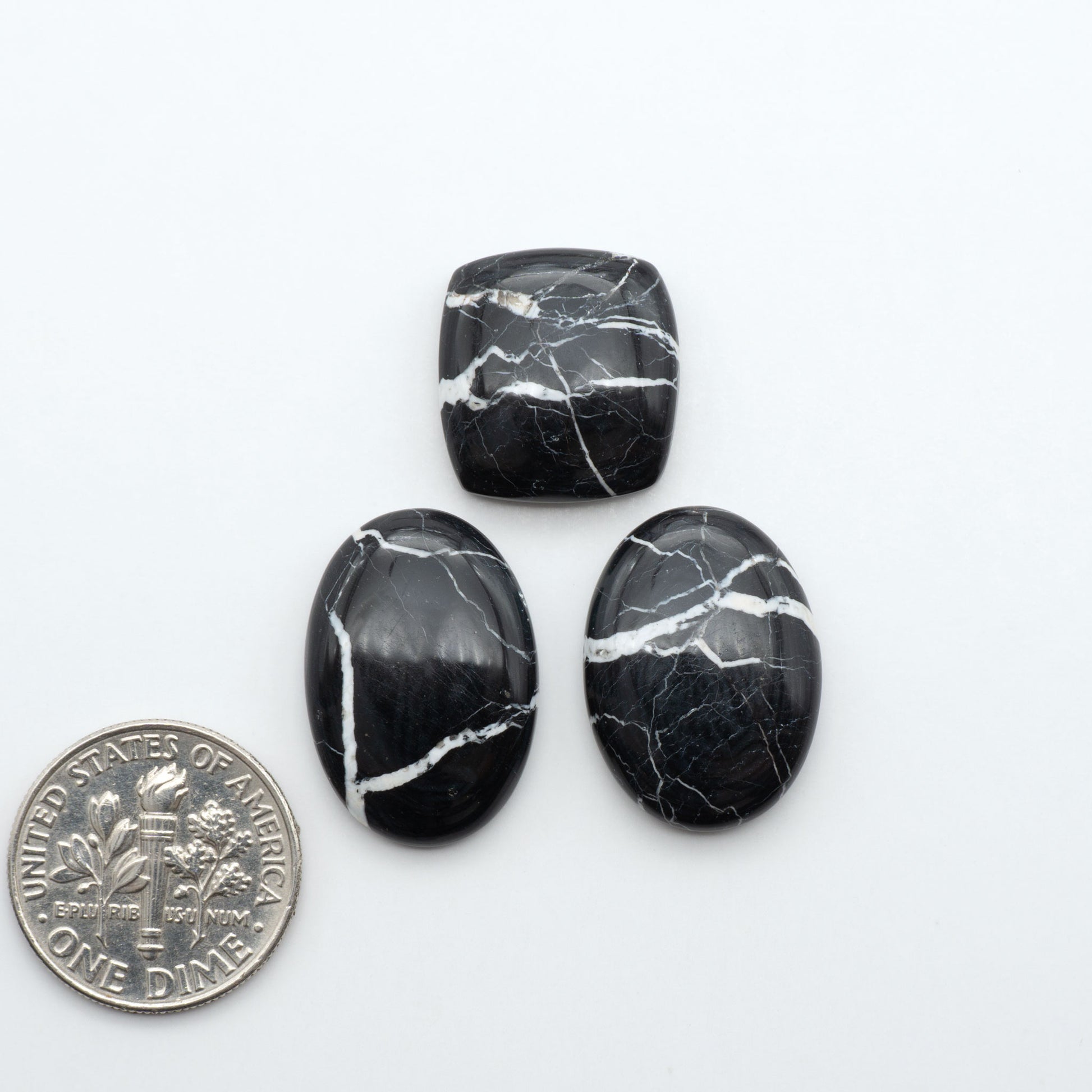 White Buffalo stone cabochons, white stone with black matrix, polished stones on a white background, with a US dime for scale