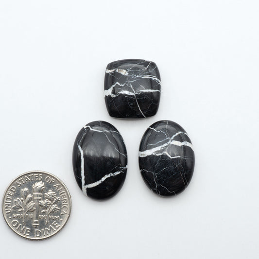 White Buffalo stone cabochons, white stone with black matrix, polished stones on a white background, with a US dime for scale