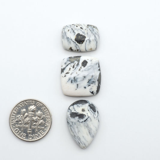 White Buffalo stone cabochons, white stone with black matrix, polished stones on a white background, with a US dime for scale