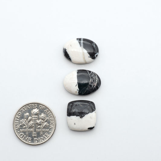 White Buffalo stone cabochons, white stone with black matrix, polished stones on a white background, with a US dime for scale