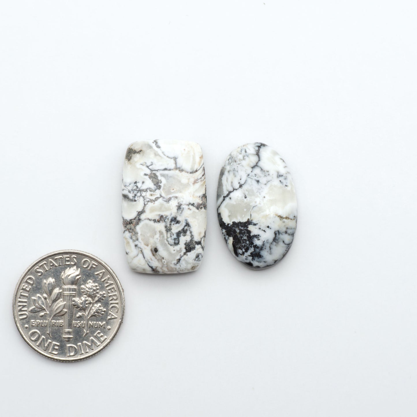 White Buffalo stone cabochons, white stone with black matrix, polished stones on a white background, with a US dime for scale