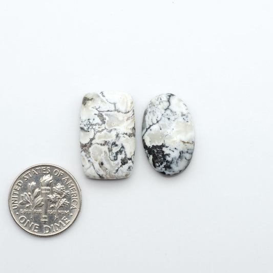 White Buffalo stone cabochons, white stone with black matrix, polished stones on a white background, with a US dime for scale