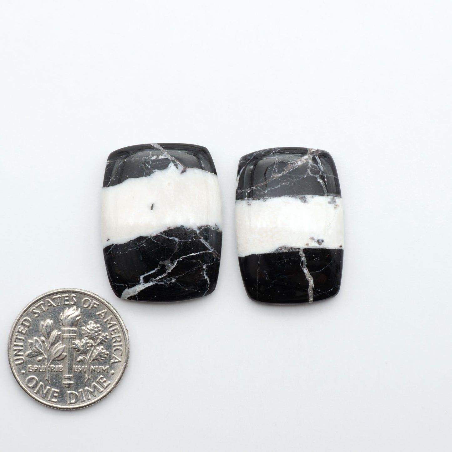 White Buffalo stone cabochons, white stone with black matrix, polished stones on a white background, with a US dime for scale